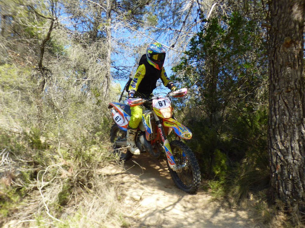 Alejandro Ceballos