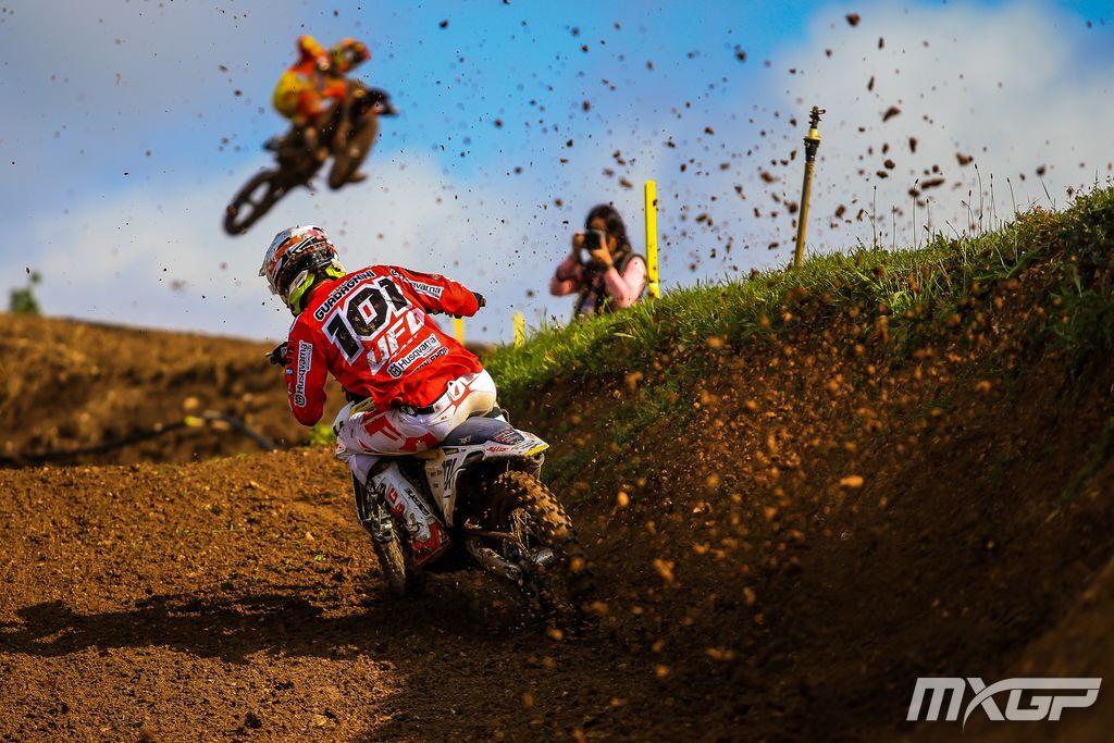 Europeo MX