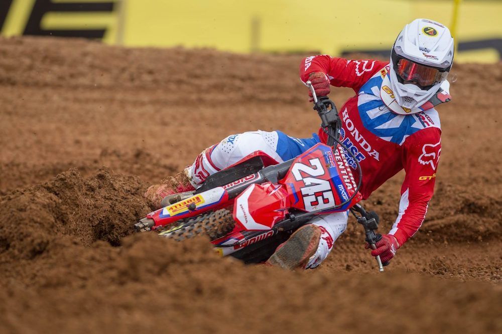 Gajser