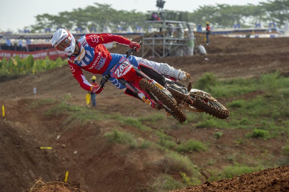 Gajser