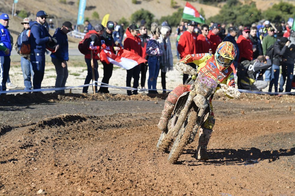 FIM ISDE