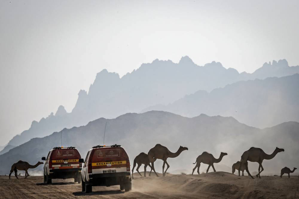 DAKAR 2020