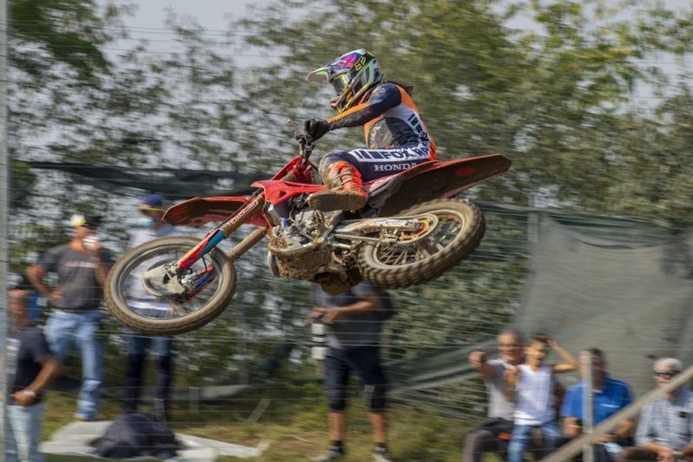 Gajser