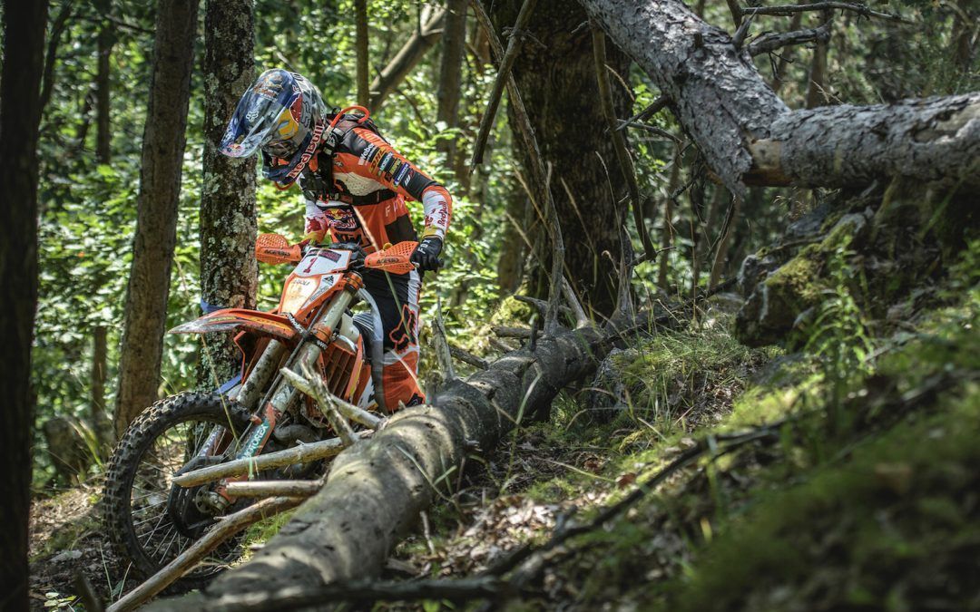 Red Bull Romaniacs día 2 OffRoad: Jarvis se retira y Lettenbichler toma el control