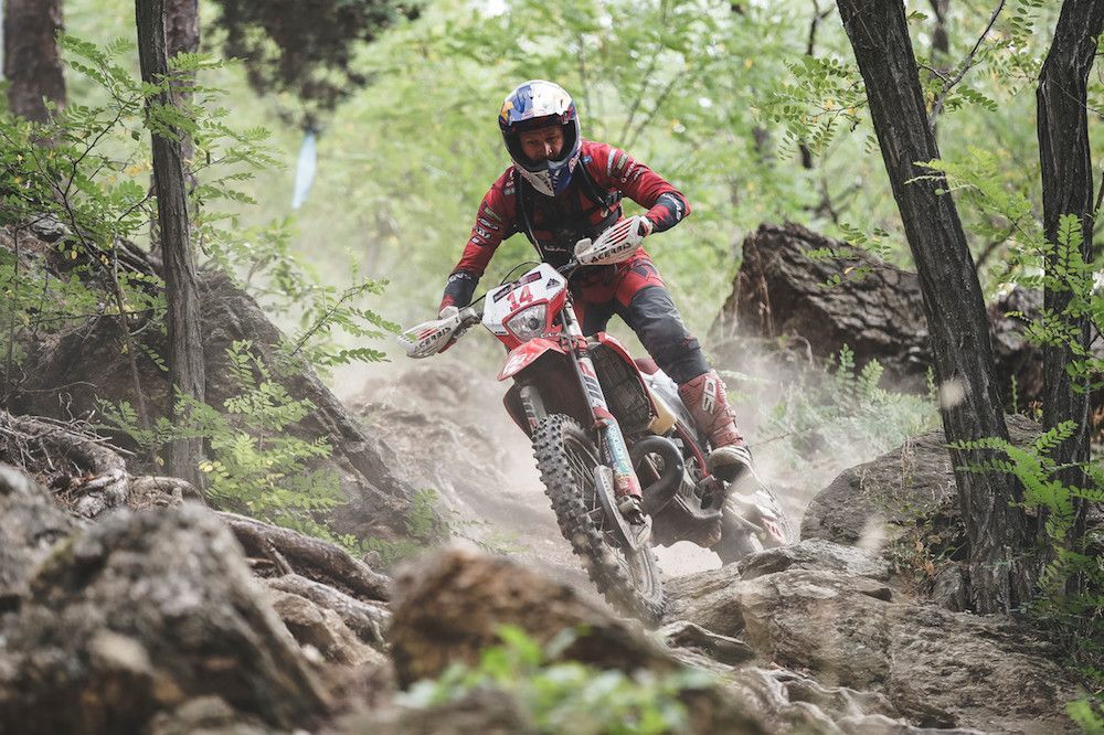 Taddy Blazusiak