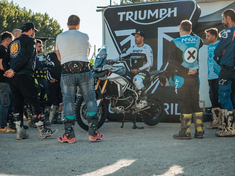 Becas Triumph 1000 Dunas