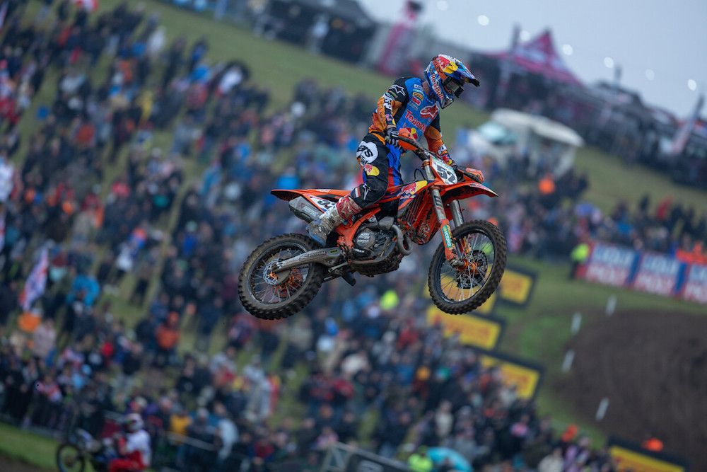 Herlings
