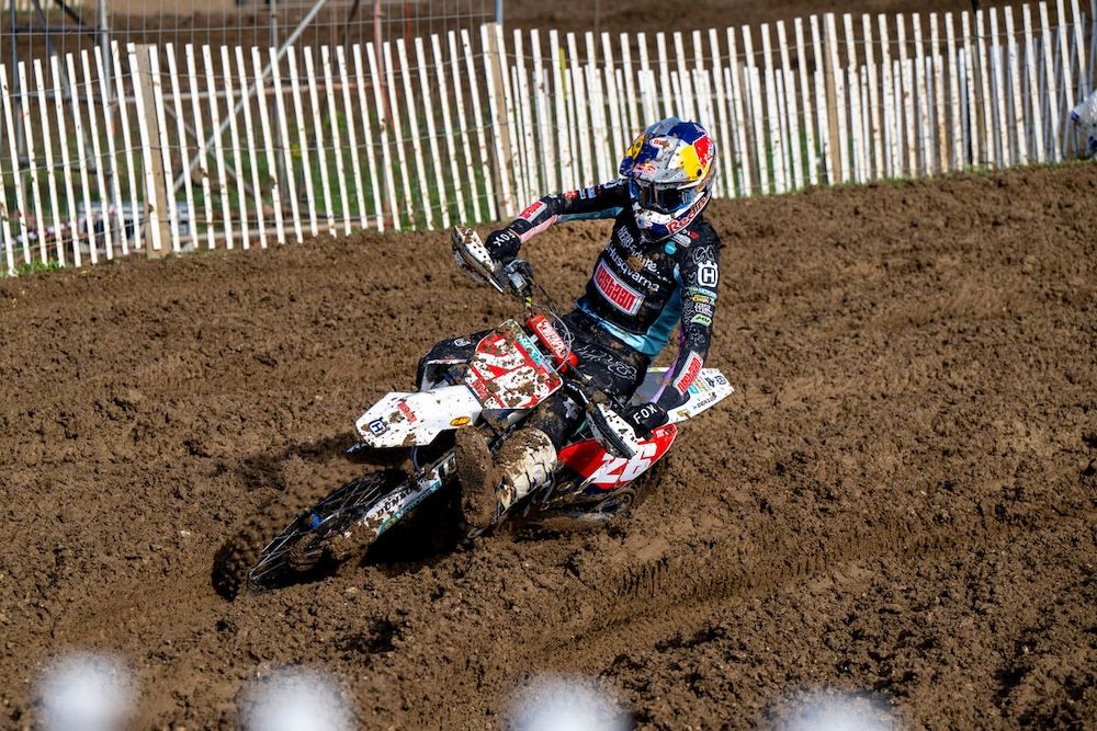 Everts Fullspectrum©