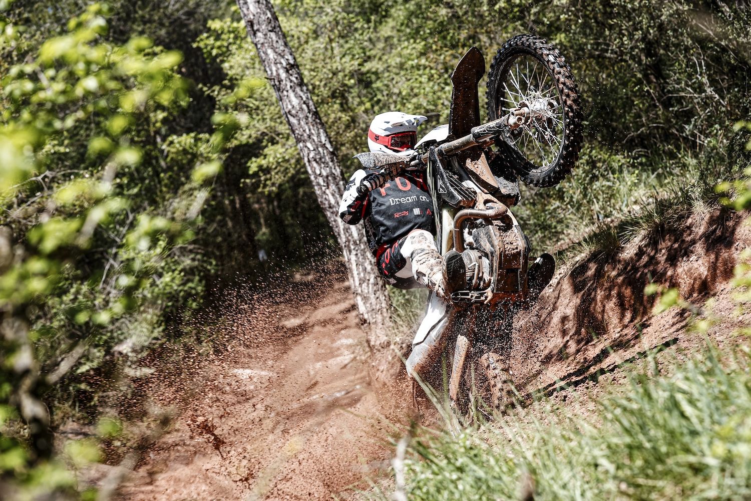 TRIUMPH TF Enduro 2026