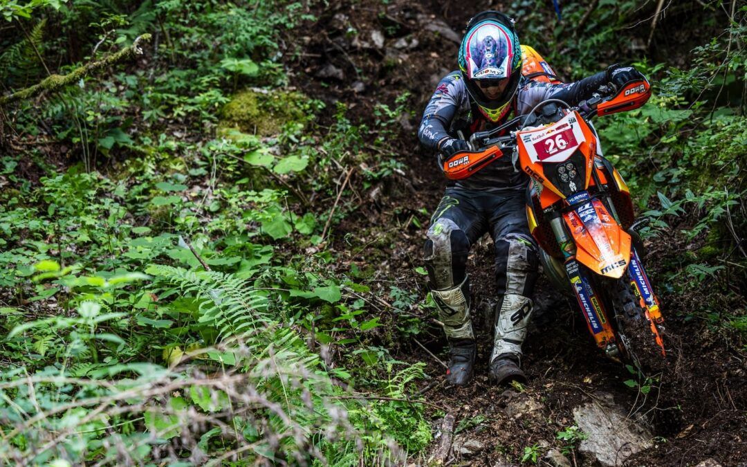 Wild Woods Extreme 2026 ¡ANULADA!