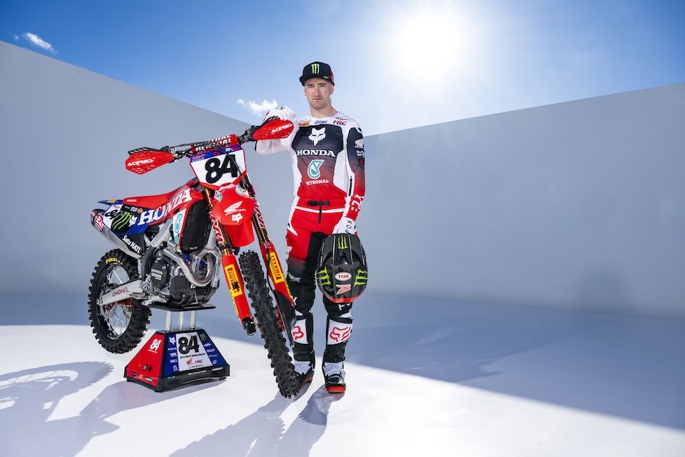 Herlings